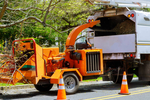 Best Utility Line Clearance  in Chatmoss, VA